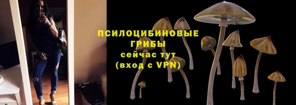 apvp Инта
