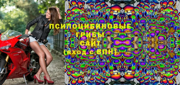 круглые Инсар