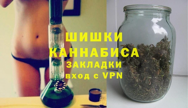 стаф Каменка