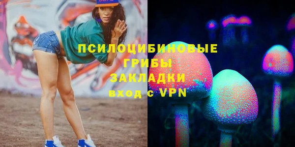 круглые Инсар